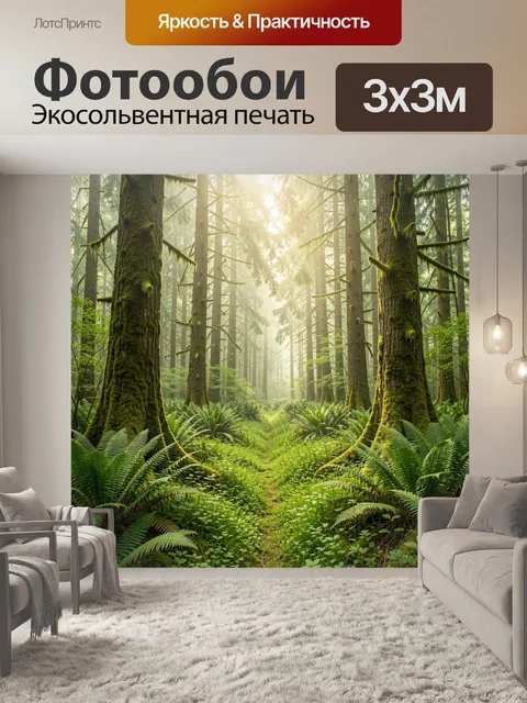 Фотообои Солнечный лес с папоротниками
