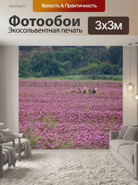 Фотообои антилопа канна в лоскутке помпонов