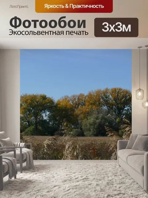 Фотообои Деревья