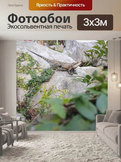 Фотообои Бородатый дракон