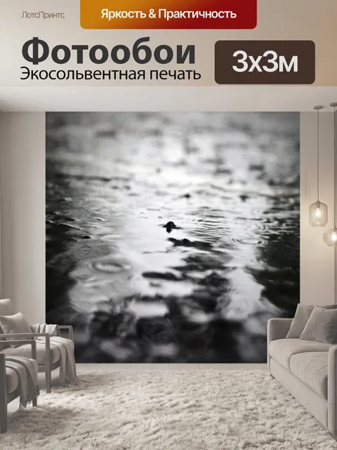 Фотообои Лужа