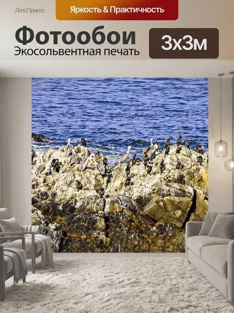 Фотообои Птицы на скале в океане