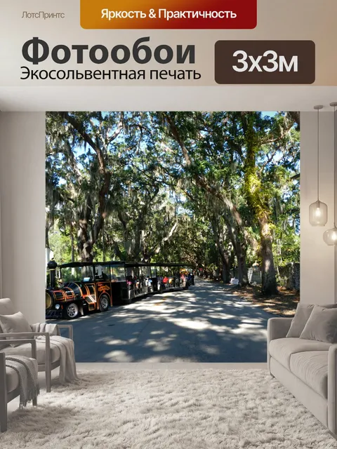Фотообои Известный Magnolia Street