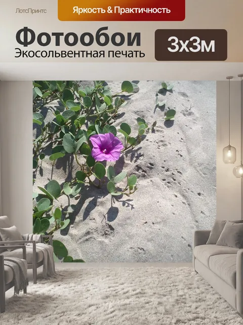 Фотообои Фиолетовый