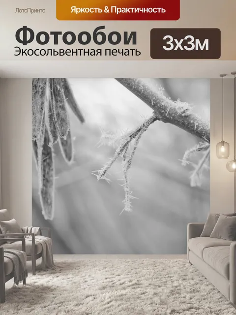 Фотообои Замороженные филиал - Черное и белое