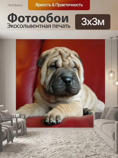 Фотообои Собака