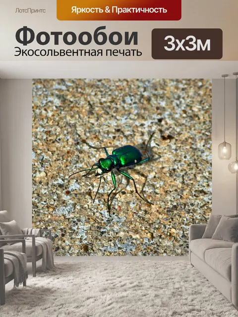 Фотообои Шесть пятнистый скакуны