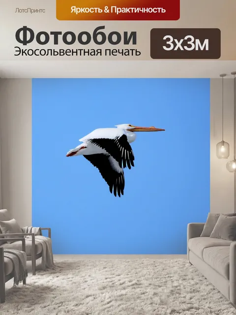 Фотообои Пеликан
