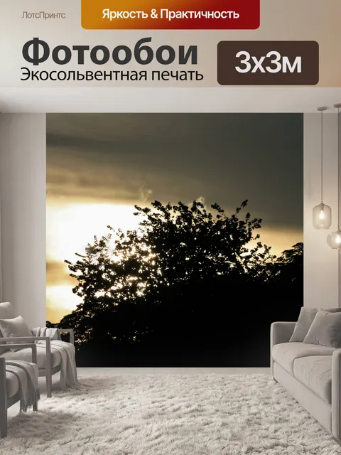 Фотообои Яркое солнце за дерево