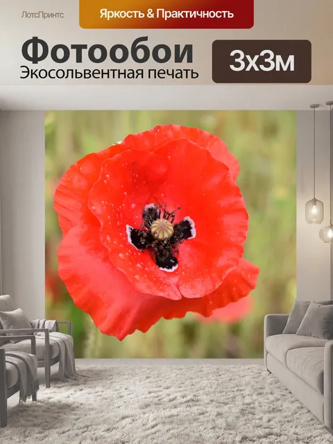 Фотообои Цветок