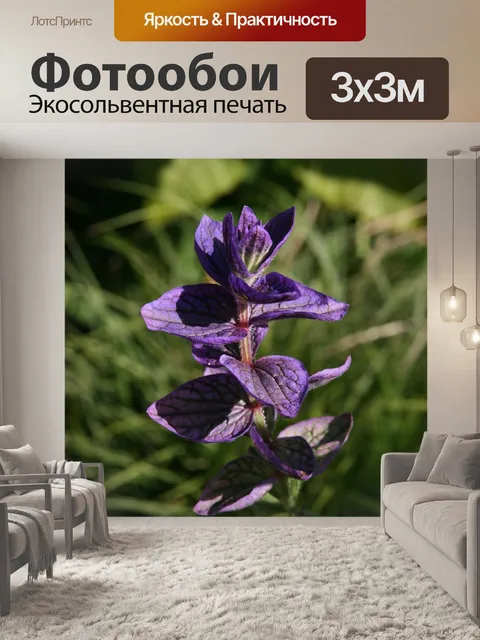 Фотообои Мудрец