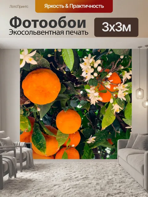 Фотообои Цветение апельсинового дерева