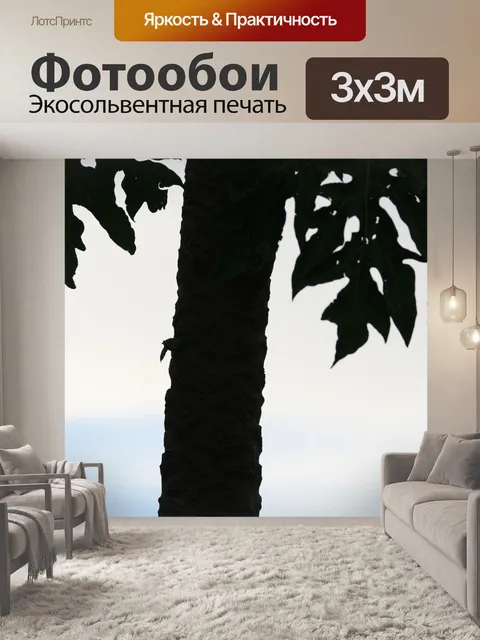 Фотообои Pawpaw силуэт дерева