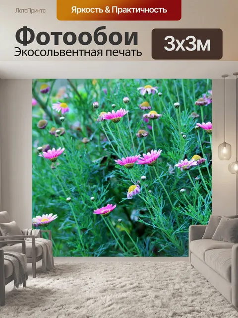Фотообои розовые маргаритки в саду