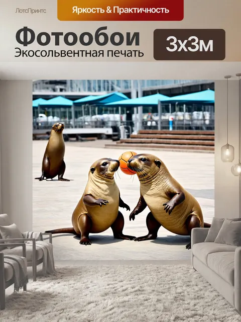 Фотообои животные в стиле маскот, милые морские котики, играющие в мяч на набережной
