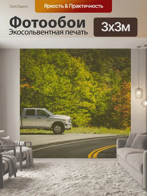 Фотообои Дорожные и осенние деревья