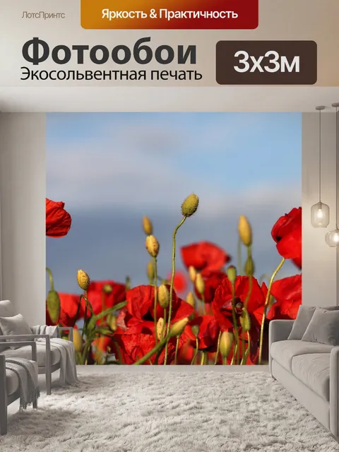 Фотообои Красные маки на ветру