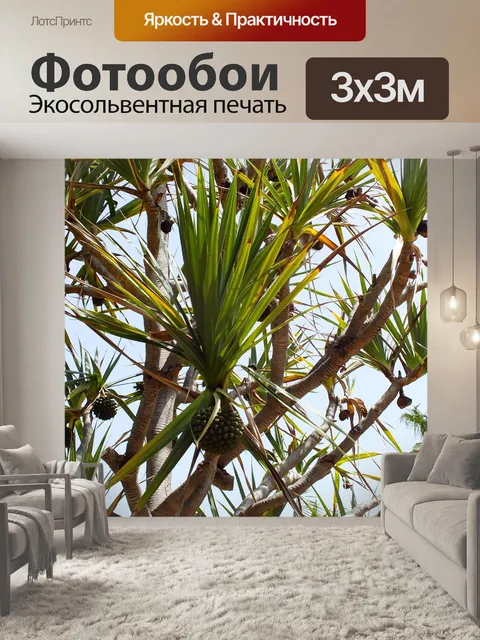 Фотообои Тропический