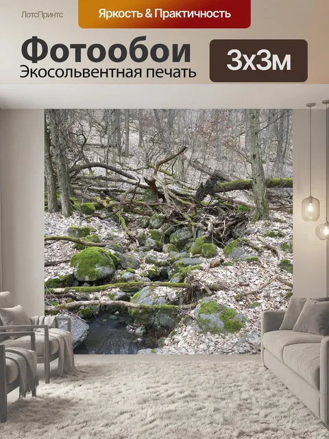 Фотообои Мосс
