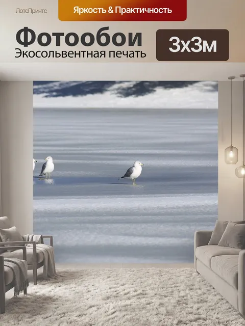 Фотообои Чайка