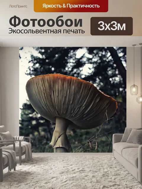 Фотообои Грибок