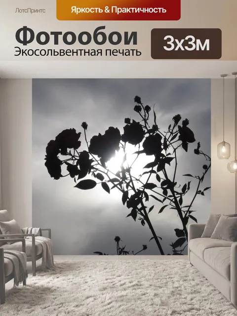 Фотообои ВС разрывной через розовый куст
