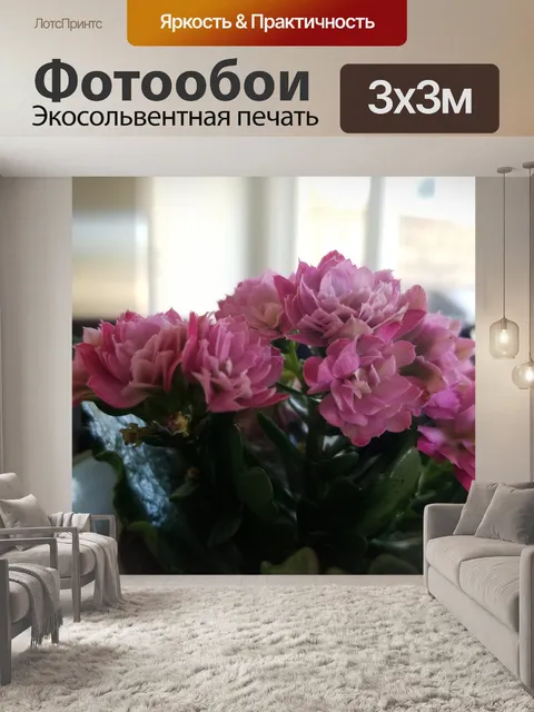 Фотообои Розовый цветочный фон цветок