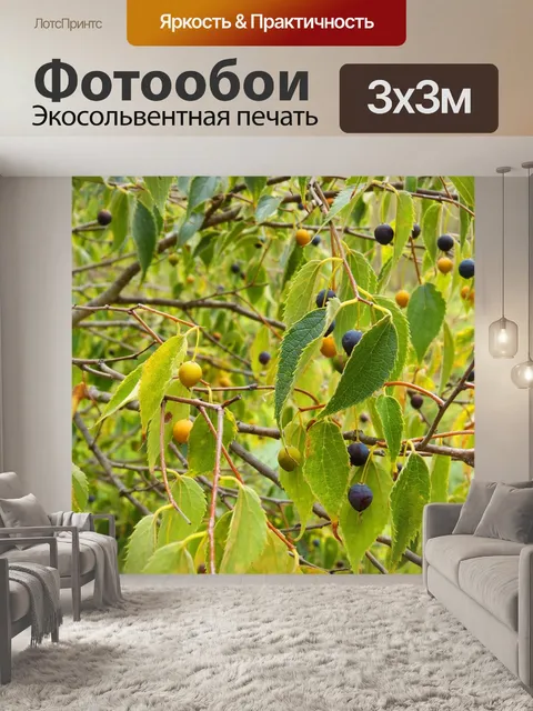Фотообои Каркас