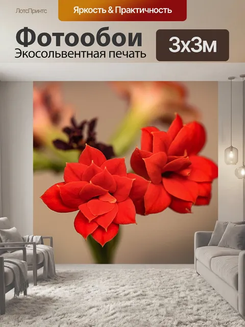 Фотообои Цветок