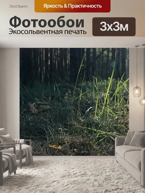 Фотообои Лес
