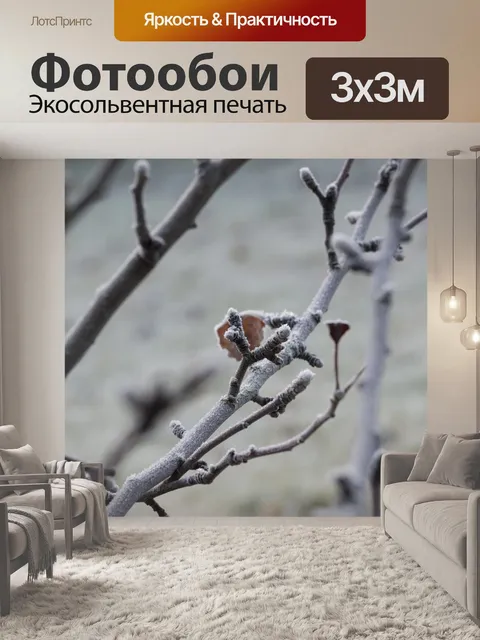 Фотообои Фрост