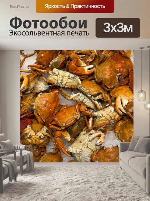 Фотообои Свежие крабы на льду