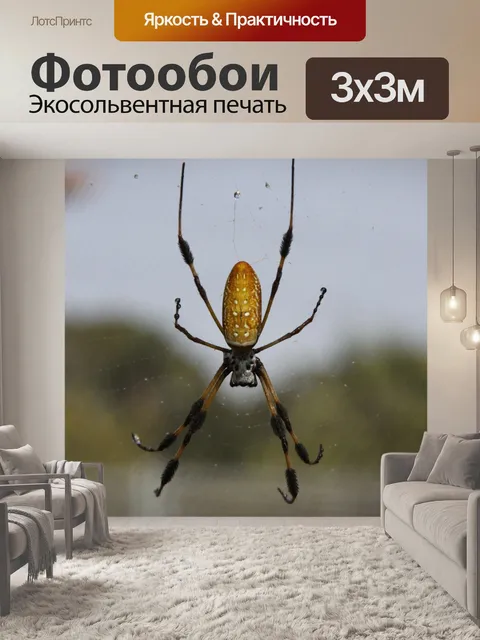 Фотообои Черный и Желтый паук