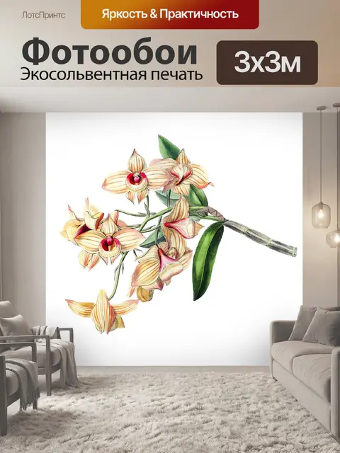 Фотообои Винтажная иллюстрация цветочной орхидеи