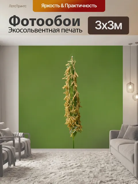 Фотообои Острие травы