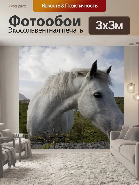 Фотообои Белая лошадь