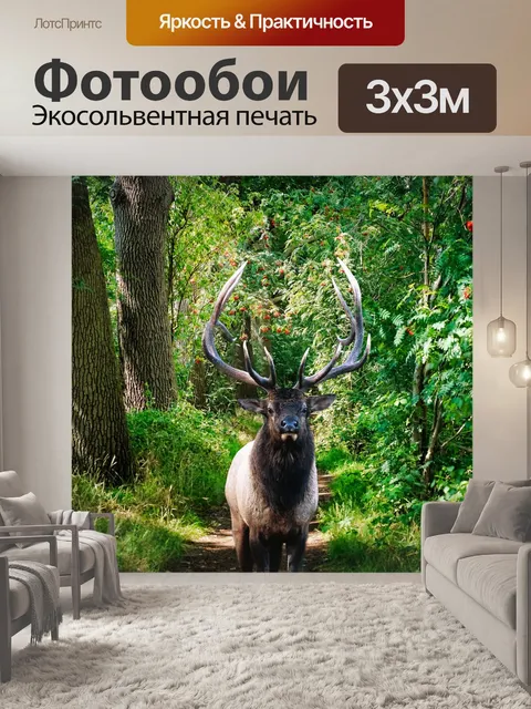 Фотообои Пейзаж