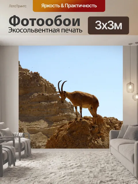 Фотообои Самка сидела на горном уступе