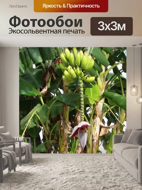 Фотообои Банан дерево