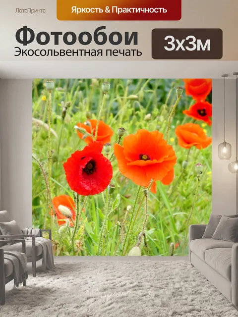 Фотообои Цветы мака
