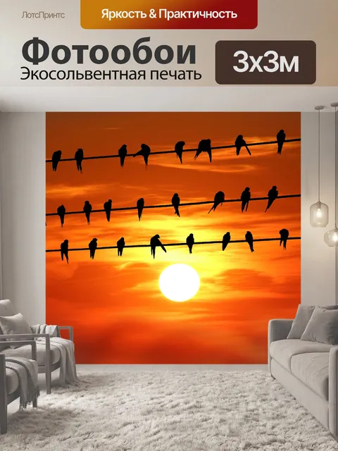 Фотообои Птицы на проволоке Закат