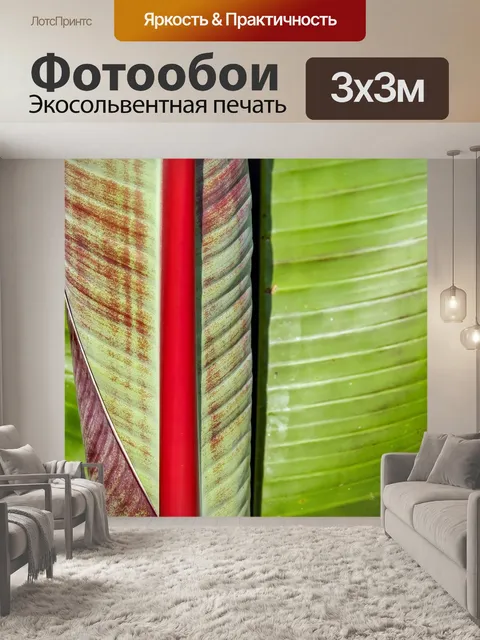 Фотообои Банановый лист