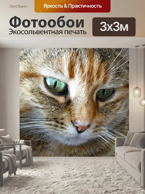 Фотообои Морда кошки