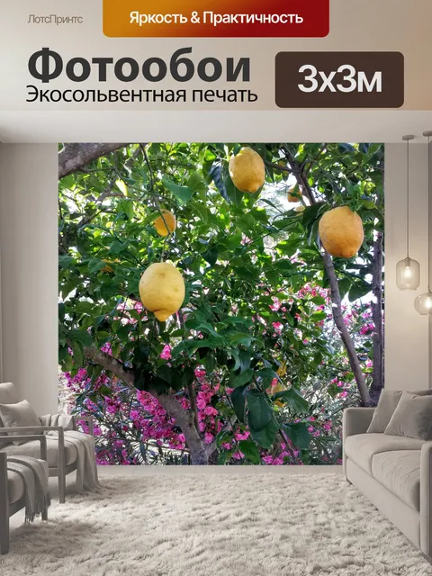 Фотообои Лимоны
