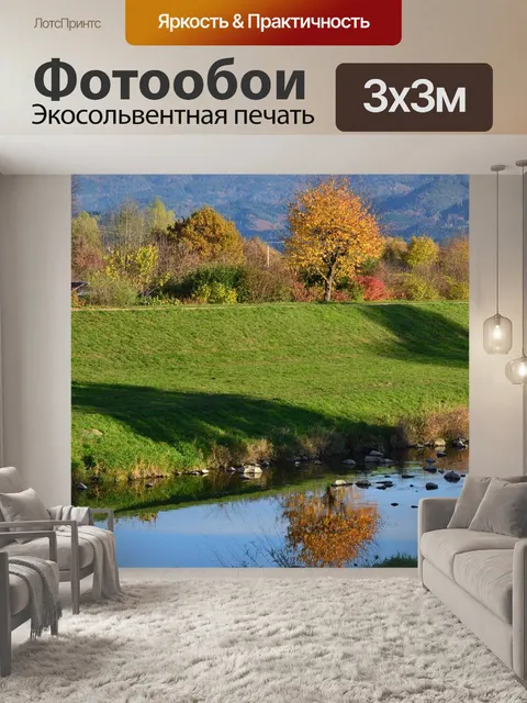 Фотообои Черный лес