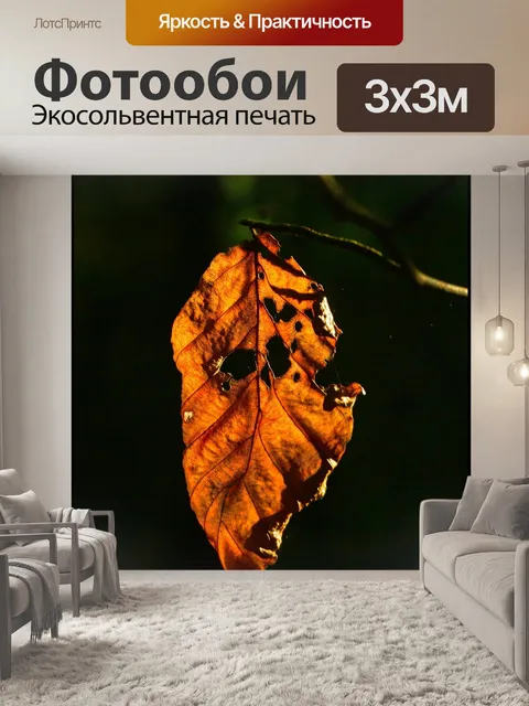 Фотообои Падение