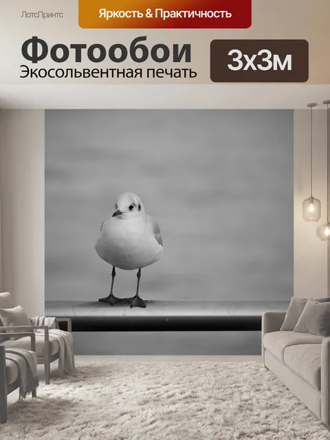Фотообои Чайка