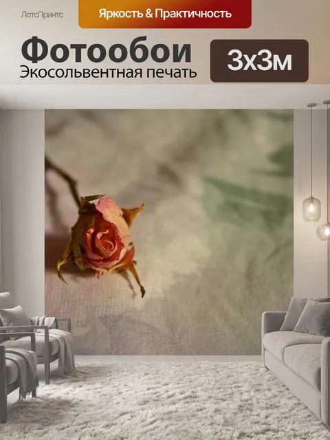 Фотообои Роза