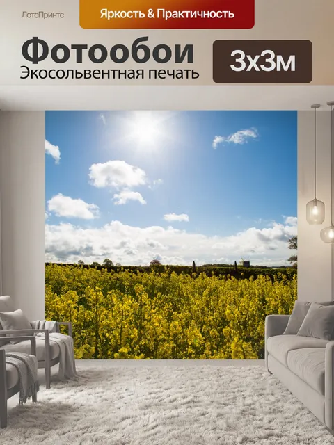 Фотообои Область желтого рапса