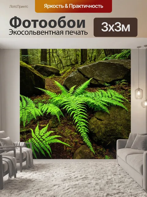 Фотообои лес, насыщенный зелеными папоротниками и большими скалами, образующими природные контуры и интересные текстуры